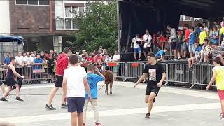 VAQUILLAS INFANTILES LASARTE ORIA DIA 30/ MARQUES DE SAKA