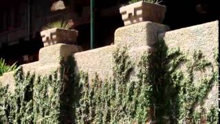 THE GAMBLE HOUSE