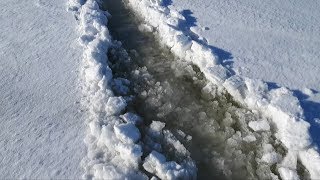 Минеснегоход по водяной каше, по наслуду на динго, самоочищение гуси