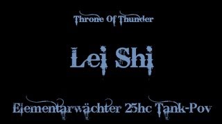 Elementarwächter VS Lei Shi 25 heroic (Warrior Tank Pov)