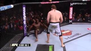 Roy Nelson KO's / Рой Нельсон