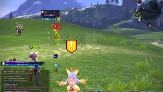 TERA Mystic vs Priest Duel