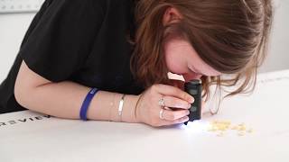 Hands On: Best Pocket Microscopes