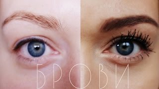 Брови | Окрашивание и коррекция
