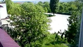 Magdacesti. MD