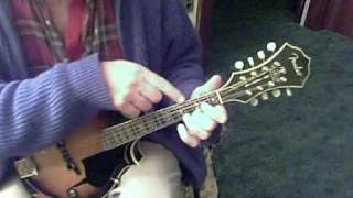 Mandolin Lesson No.2 (beginner)