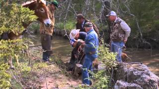The Ride with Cord McCoy: Hog Hunting