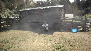 Eugene and Jonathan Mace V.S. Three Socks