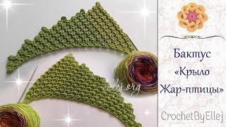 Красивый бактус "Крыло Жар-Птицы" крючком