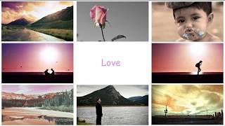 Do you love photography?