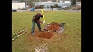 Comment planter un arbre ? (par le lycée horticole Gaston Chaissac de Niort)