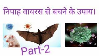 Nipah virus se bachne ke gharelu upaye by GZT
