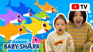 [4k] Baby Shark More and More | Kids Choreography | Dance Along 