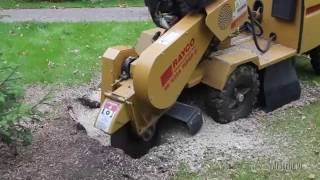 Дробление пней. Arborist.su Stump grinder rayco 1625A