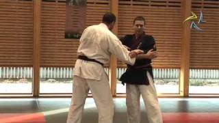Nihon Tai Jitsu - Stage Tours 2009