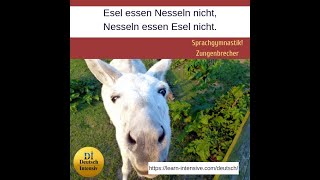 Zungenbrecher Teil1! Немецкий онлайн с Deutsch Intensiv. Произношение: скороговорки