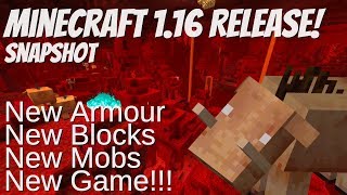 Everything in Minecraft 1.16:All you need in the New SnapShot 20x06a (Snapshot review with Avomance)