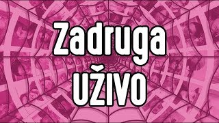Zadruga UZIVO 24/7 (Sloba i Kija) [Full HD]