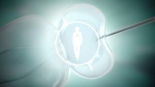 Goa trance: Lost Buddha - Embryo