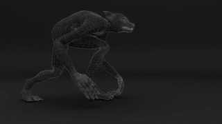 Werewolf wire