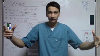 Сепсис "Med Reigns"