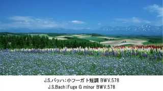 涙が出るほど？美しいクラシック名曲集・Beautiful Classical Music Collection（長時間作業用BGM)