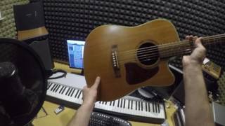 Brauner Phantom vs SE gemini 2