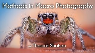 Methods in Macro Photography with Thomas Shahan
