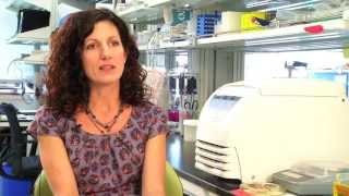 Erika Pearce discusses the metabolism of activated T cells