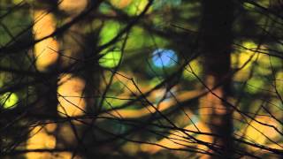 Fandango - Δώρος Δημοσθένους