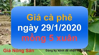 Giá cà phê hôm nay ngày 29 tháng 1 năm 2020, giá cà phê hôm nay