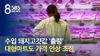 수입 돼지고깃값 '출렁'…대형마트도 가격 인상 조짐 / SBS