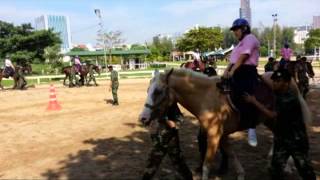อาชาบำบัด ม.พัน. 29 รอ.