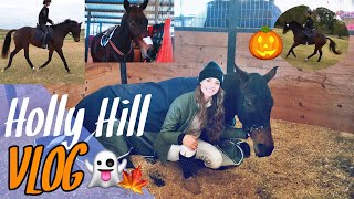 HOLLY HILL // show vlog 2017