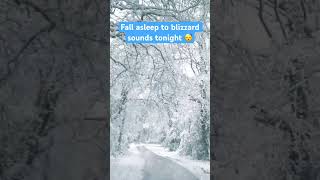 #blizzard #snowstorm sounds for sleeping