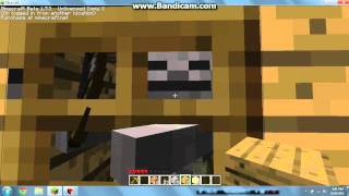 Minecraft Retards Ep. 2: Skeleton Song