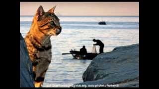Yeşilköy, Florya, İstanbul, Türkiye www.gezgince.org www.photosofturkey.tk