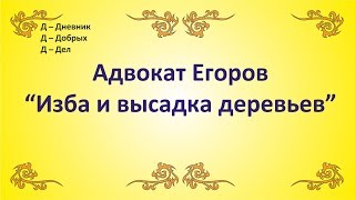 ДДД - Адвокат Егоров "Изба и высадка деревьев"