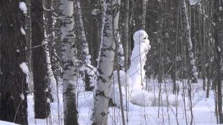 Охота тайга / Девственная тайга / Hunting taiga.