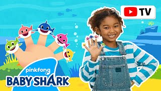 [4K] Shark Finger Family | Kids Choreography | Dance Along 