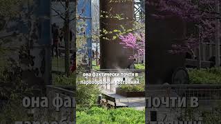 Парк Домино, Бруклин. Набережная с видом на Манхэттен.