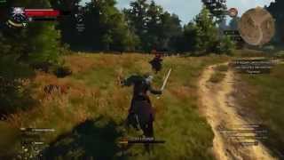 The Witcher 3: Wild Hunt | PC | test ShadowPlay | Palit GeForce GTX 970