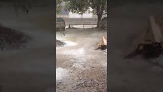 კახეთში საშნელი სეტყვა მოვიდა - თელავში გადაღებული კადრები