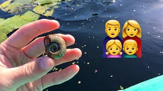 Воспитание детей. Как говорить им правду? Зубная фея и Дед Мороз