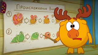 Азбука здоровья - ТОП 10 лучших серий - Смешарики 2D | Познавательные мультфильмы