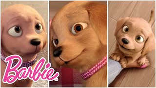 Meet Taffy! | Barbie Vlog | Episode 7
