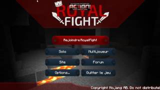 Royalfight et presentation de ma chaine