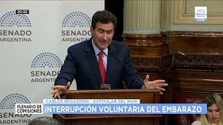EN CONTRA: CARLOS REGAZZONI - MÉDICO Y EX TITULAR DEL PAMI - 24-07-18