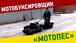 Мотобуксировщики "МОТОПЁС" / "MOTODOG"