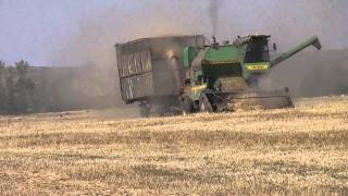 Уборка урожая. Камышинка август 2010г.Часть-1. НИВЫ.Видеоролики Зубко Сергея Алексеевича!!!!!!!